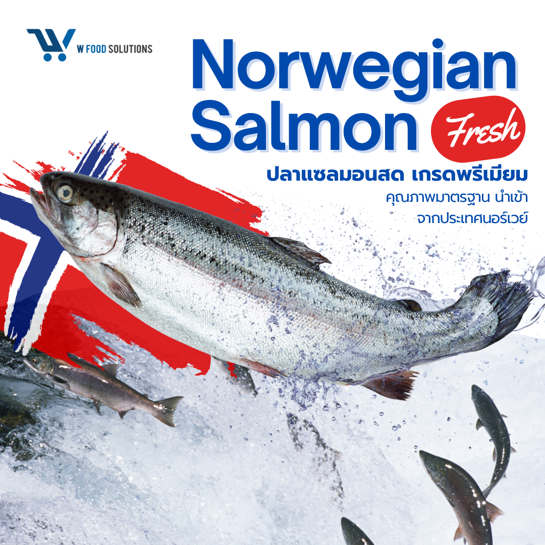 Norwegian Salmon Fresh